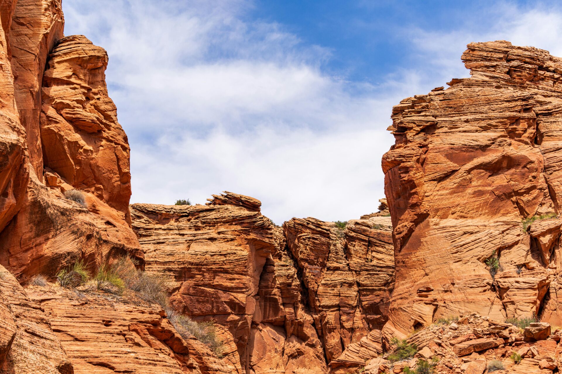 Arizona
