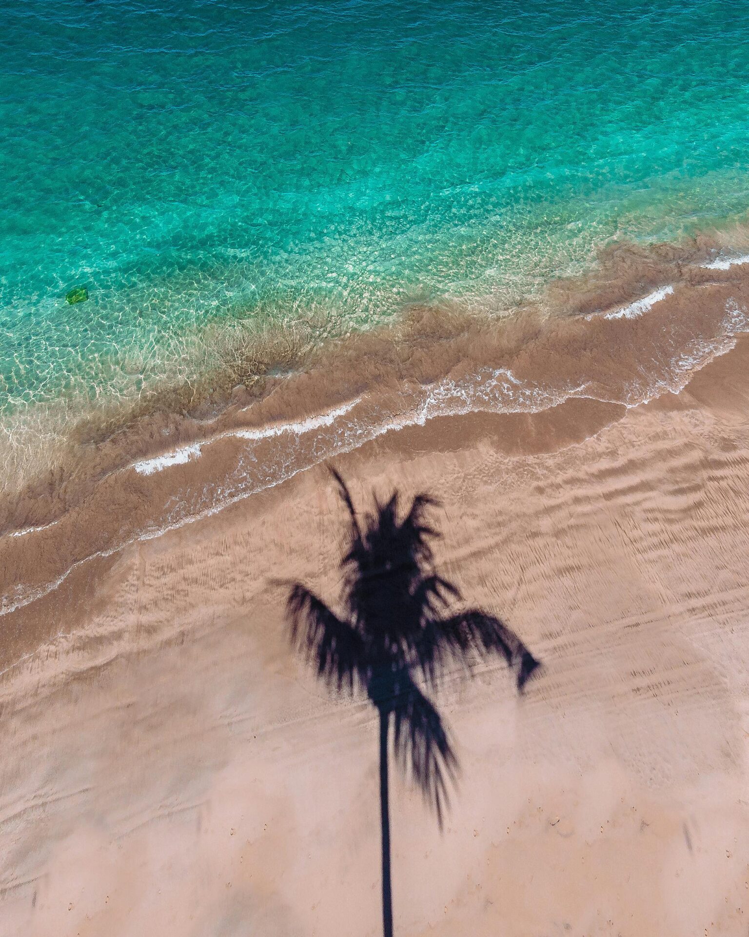 As 11 melhores praias de Porto de Galinhas para conhecer