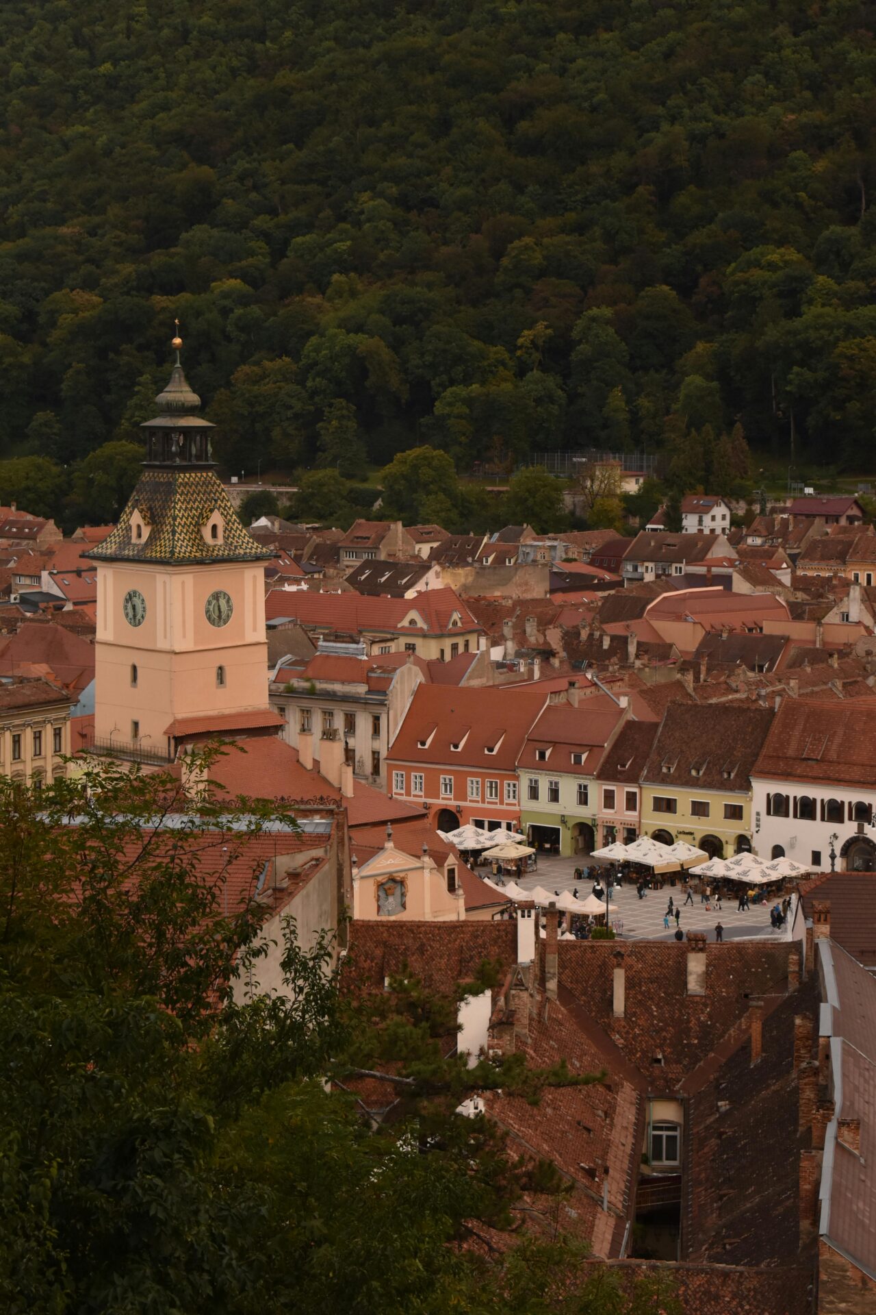 Brasov