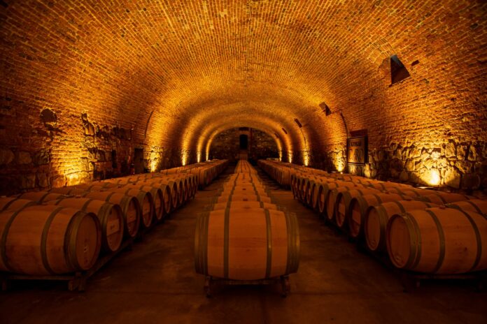 destinos especiais para os amantes de vinho destinos especiais para os amantes de vinho