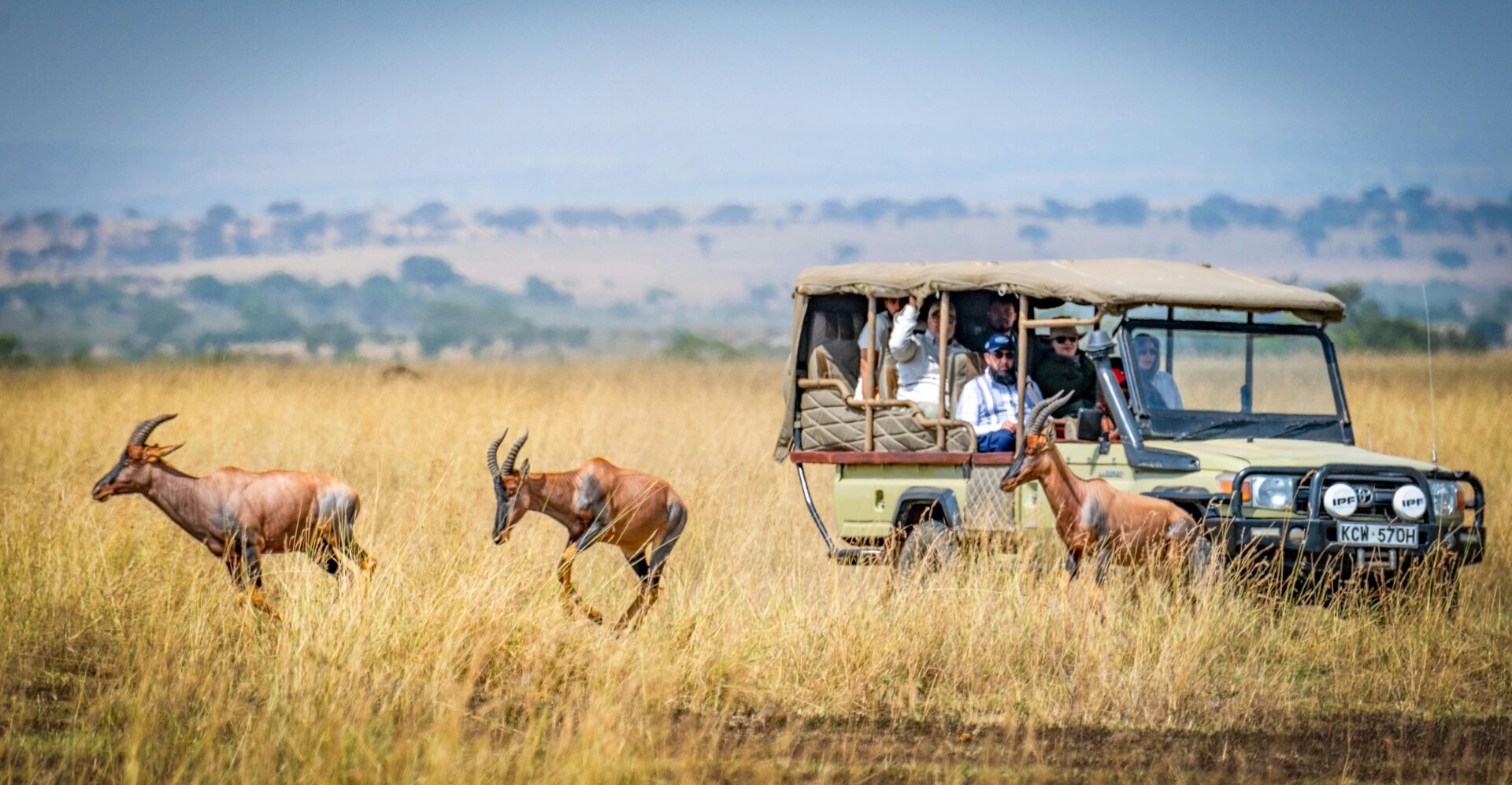 Safari na África - 20 lugares no mundo para te tirar o fôlego