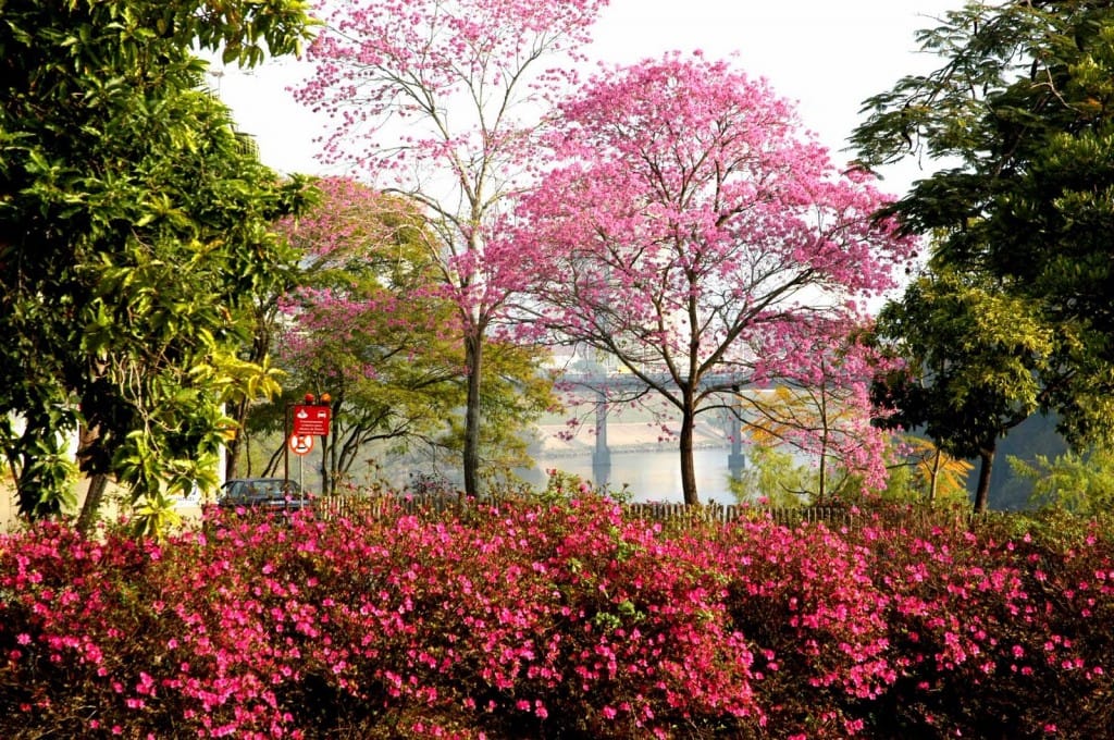 Blumenau, Santa Catarina - destinos para apreciar a primavera no Brasil