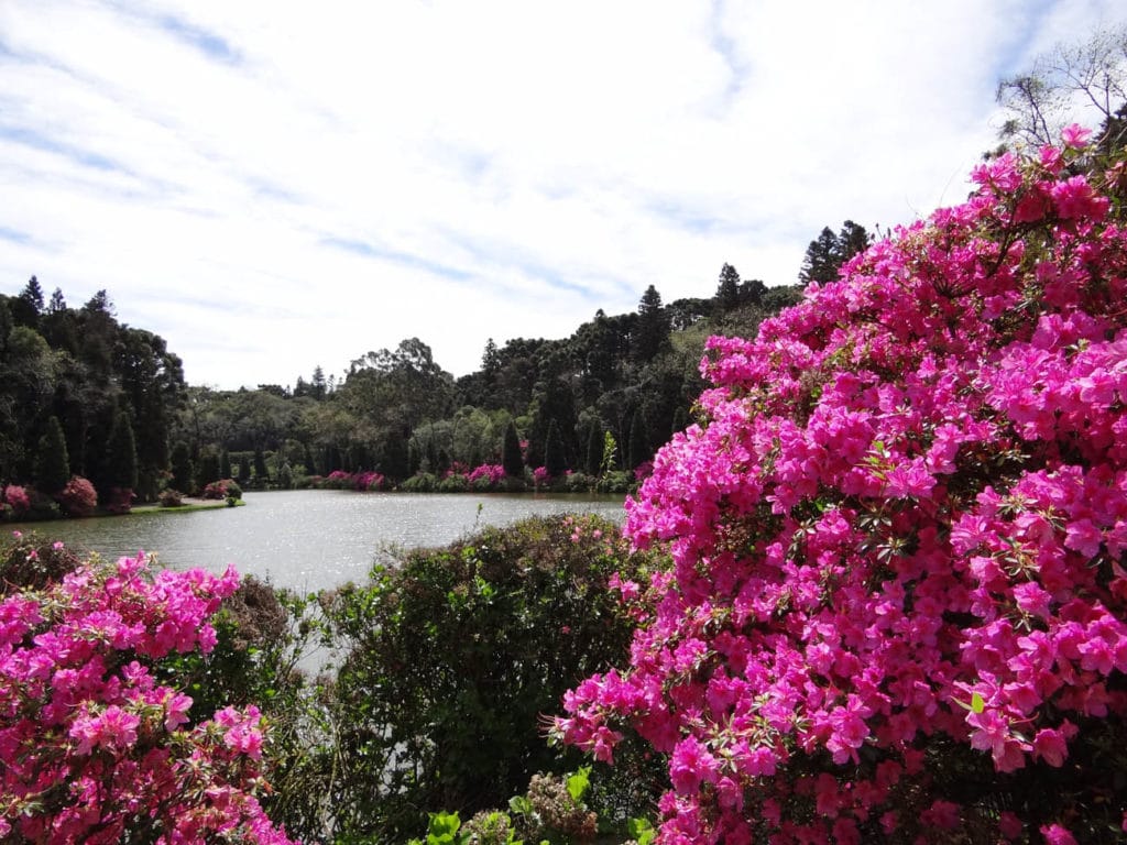 Gramado, Rio Grande do Sul - com toda certeza faz parte dos destinos para apreciar a primavera no Brasil