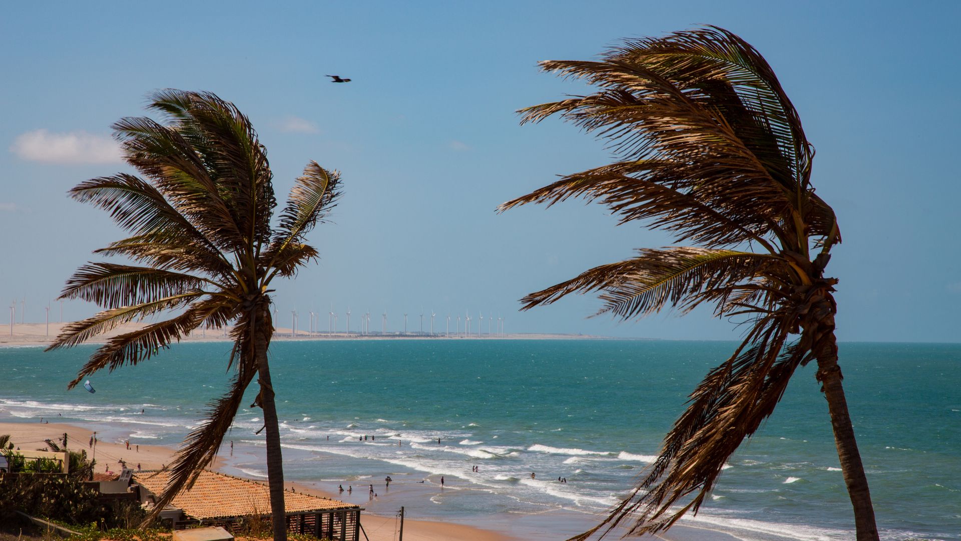 O que fazer em Canoa Quebrada - na foto, a Vila de Canoa Quebrada. (o que fazer em Canoa Quebrada)