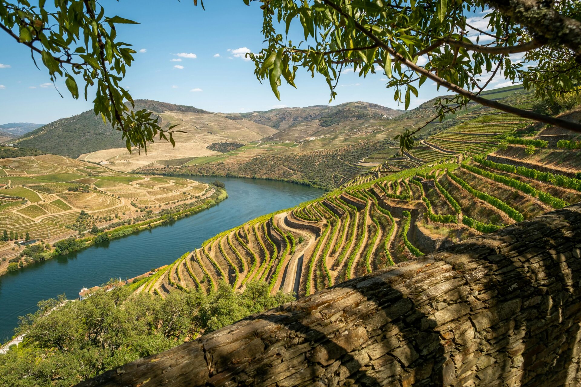 Vinícola na Espanha - 10 destinos especiais para os amantes de vinho