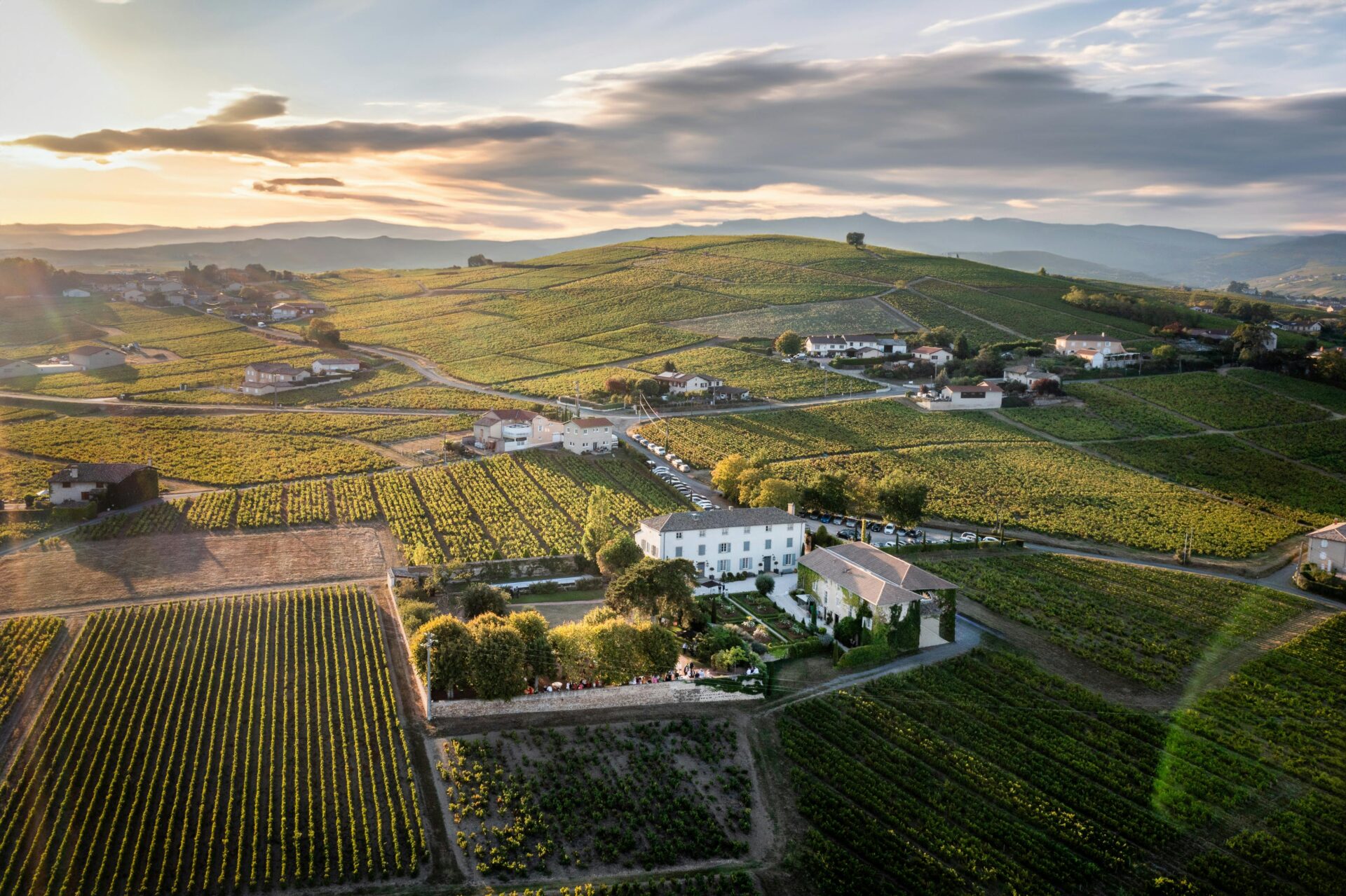 Vinícola na França - 10 destinos especiais para os amantes de vinho