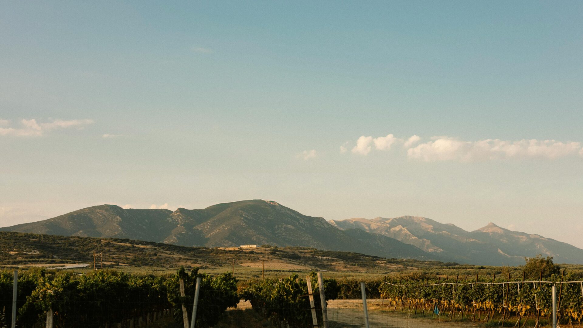 Vinícola na Grécia - 10 destinos especiais para os amantes de vinho