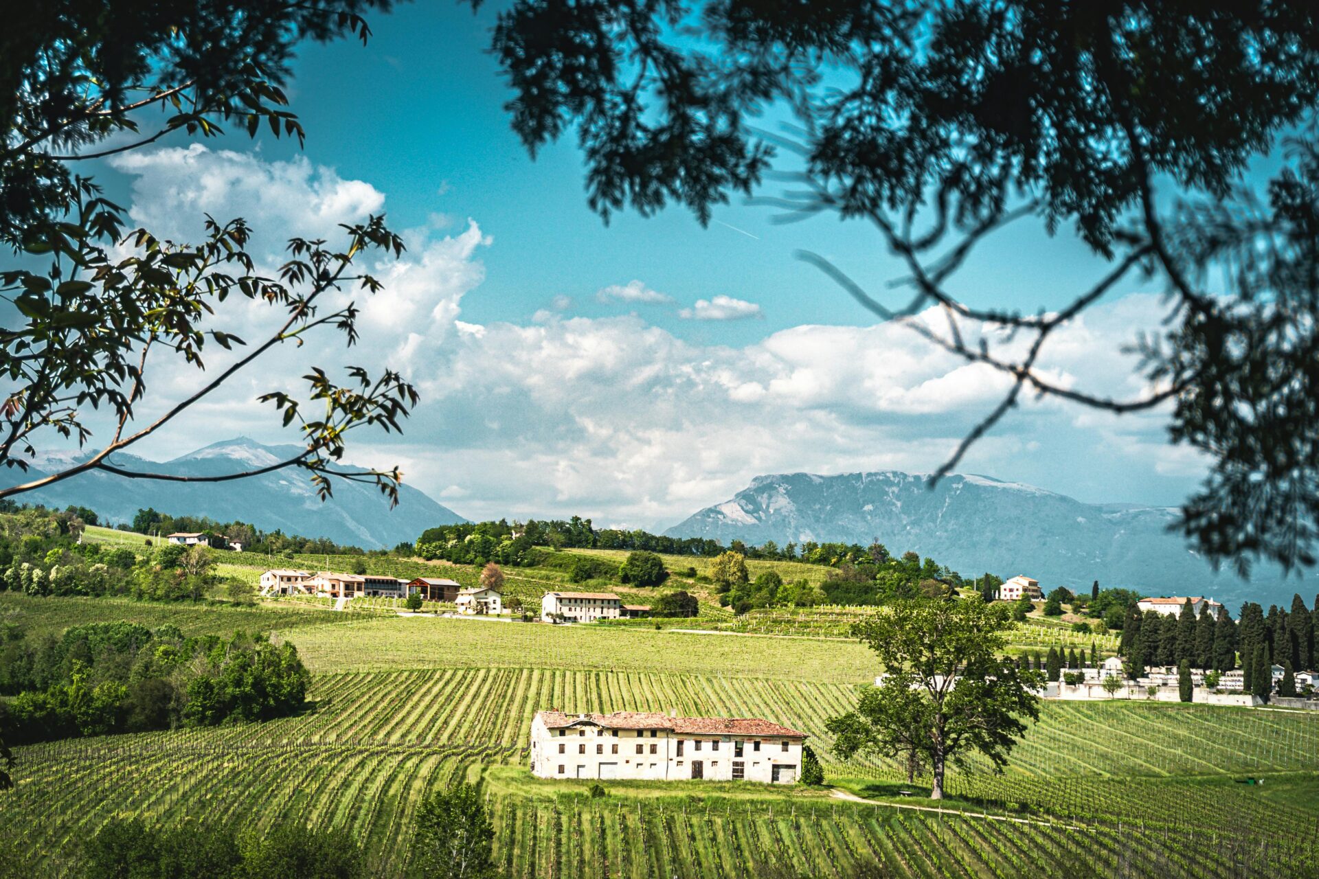 Vinícola na Itália - 10 destinos especiais para os amantes de vinho