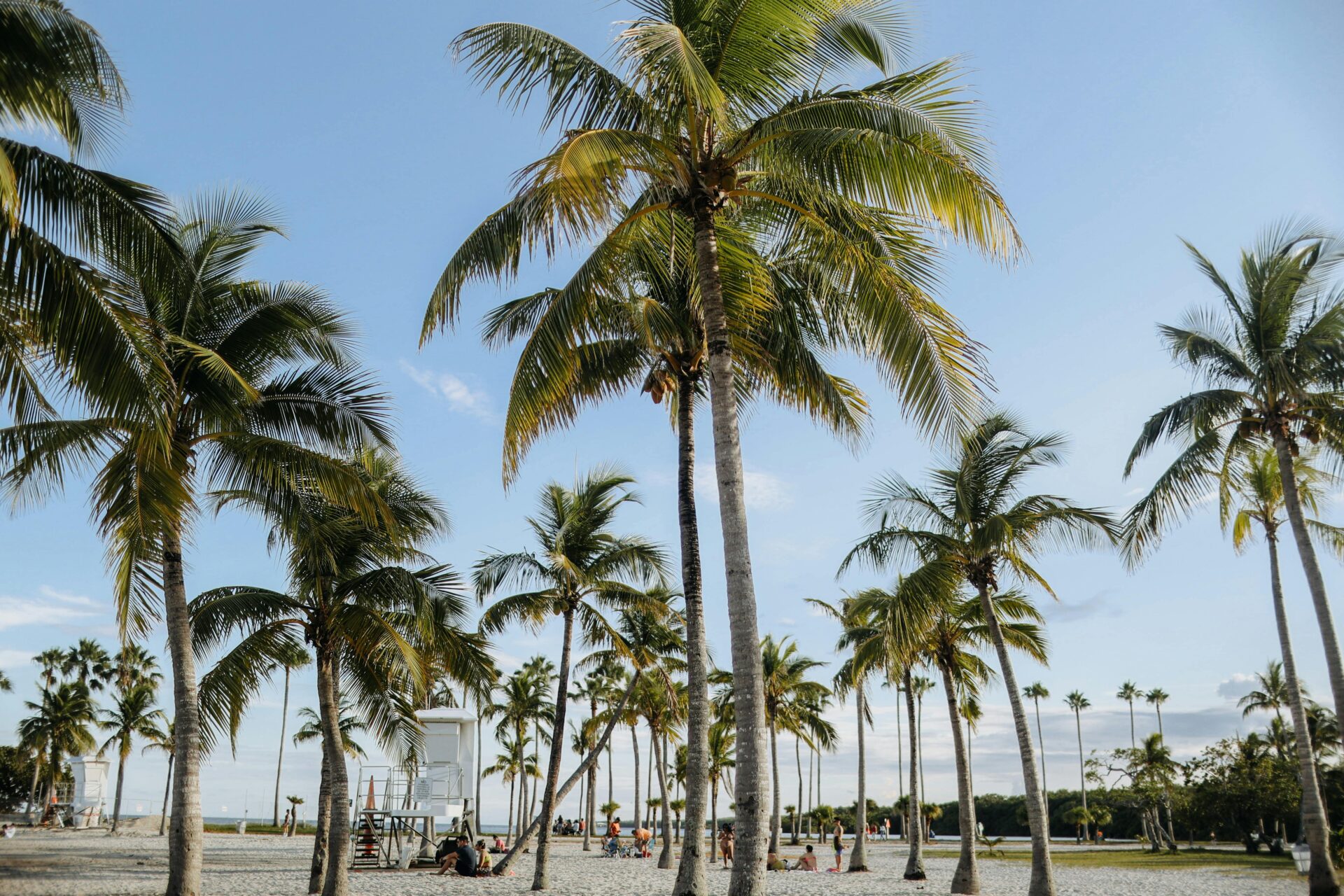 Melhores praias de Miami: Crandon Park