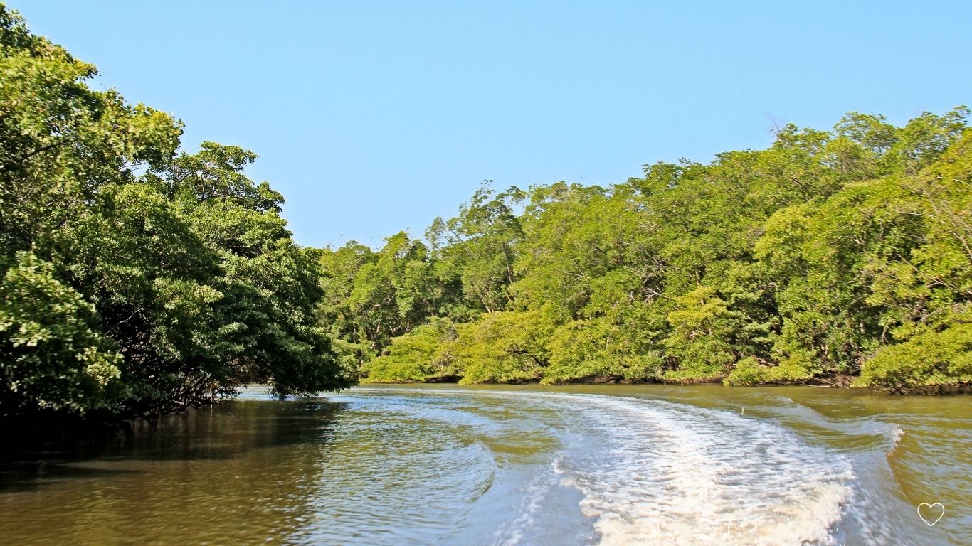 Delta do Parnaíba, em Piauí - destinos no Brasil
