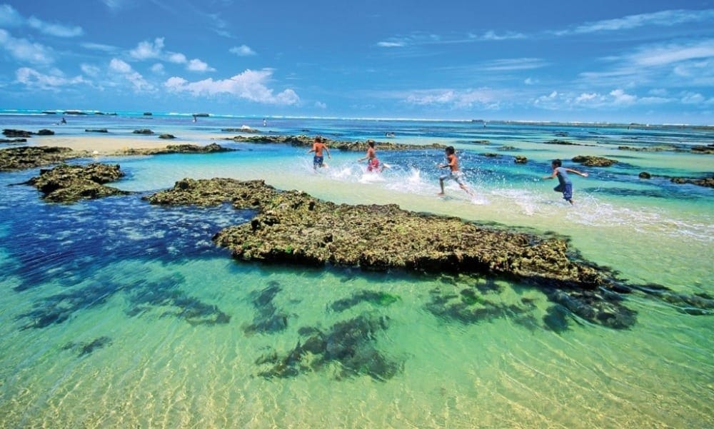 Flecherias, no Ceará - Nordeste brasileiro