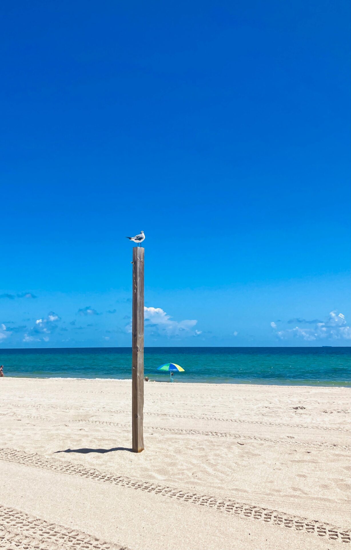 Melhores praias de Miami: Hollywood Beach