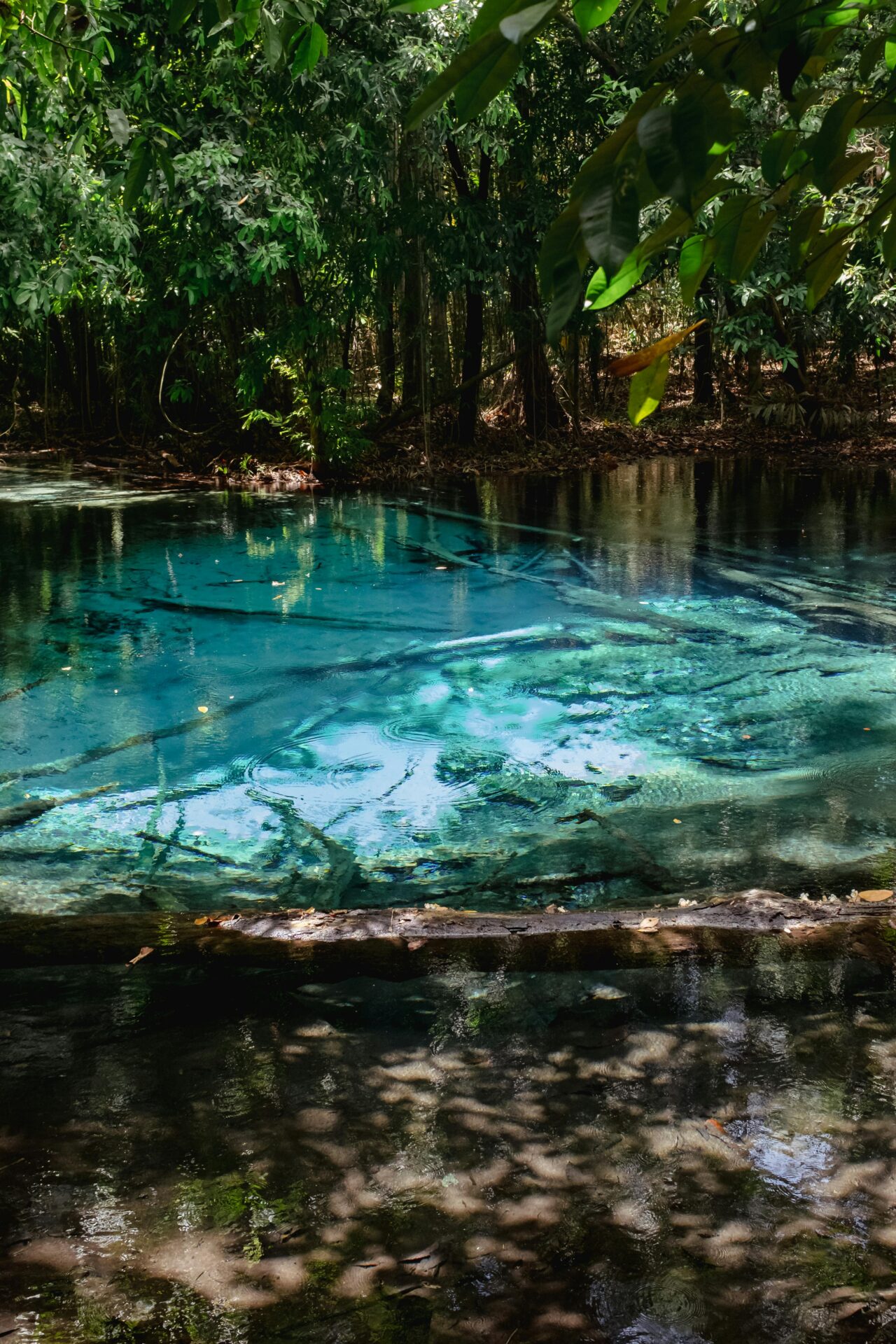 Jalapão, em Tocantins - destinos de ecoturismo no Brasil