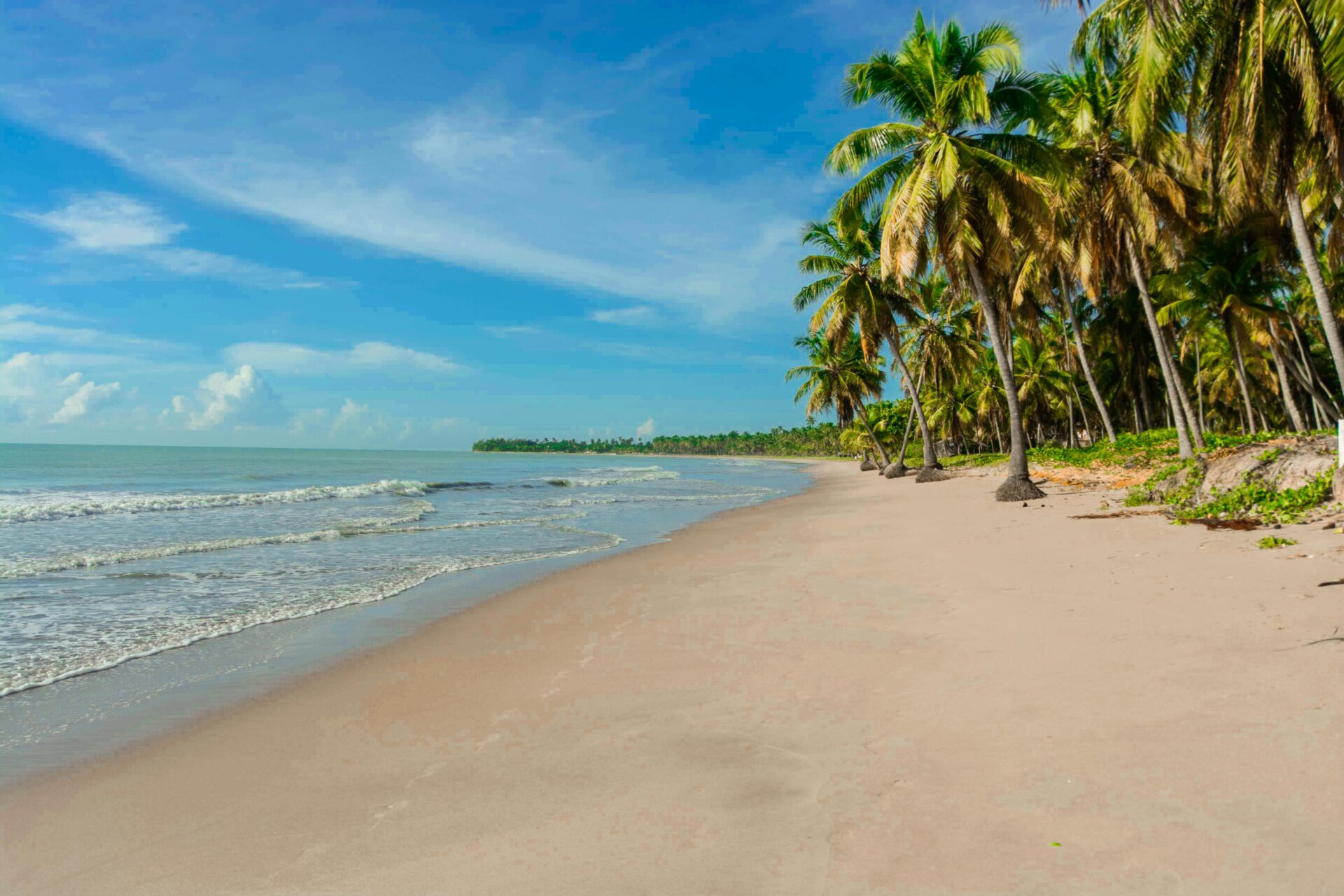 Praia do Toque, em Alagoas: uma das praias mais bonitas do Brasil.
