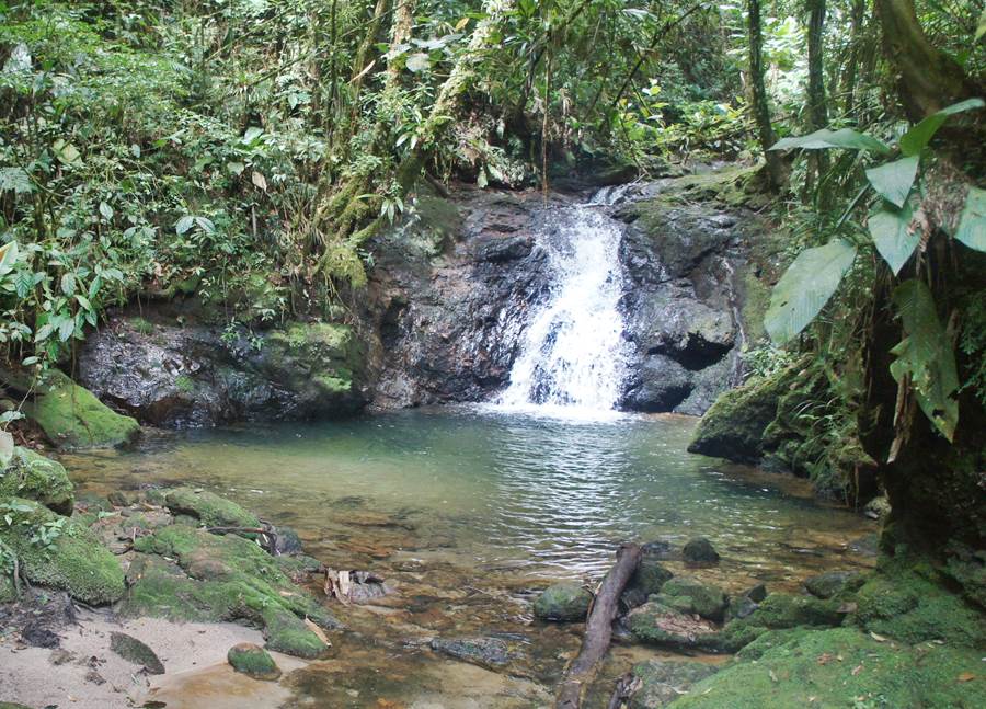 Trilha da cachoeira Capivari