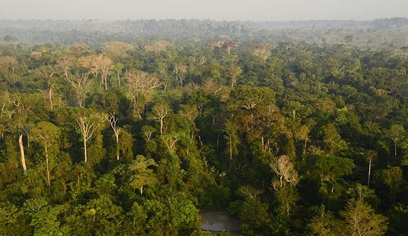 Manaus, no Amazonas