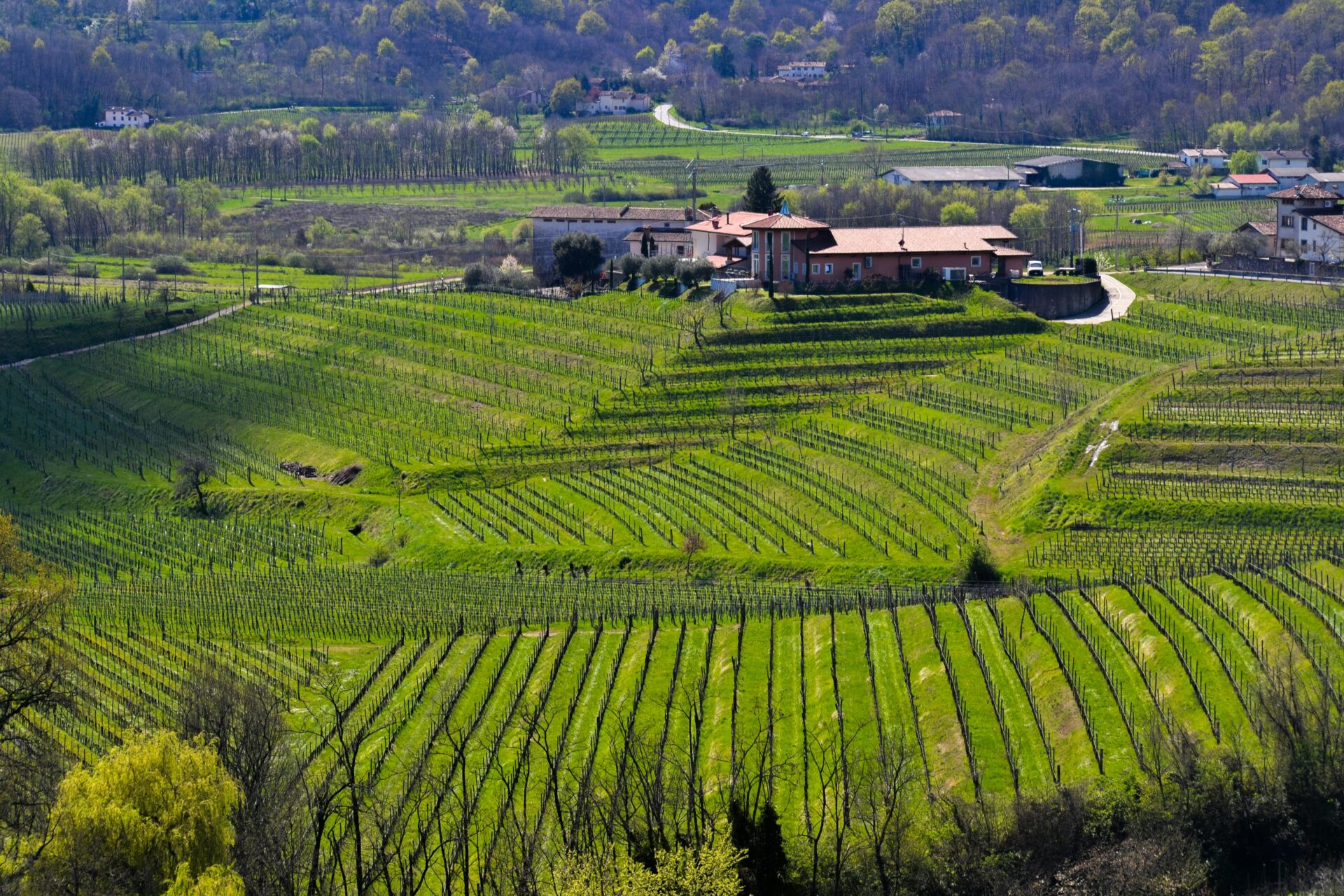 11 vinícolas da Itália pra você: melhores vinhos italianos - Na foto, a região de Toscana, uma das vinícolas da Itália.