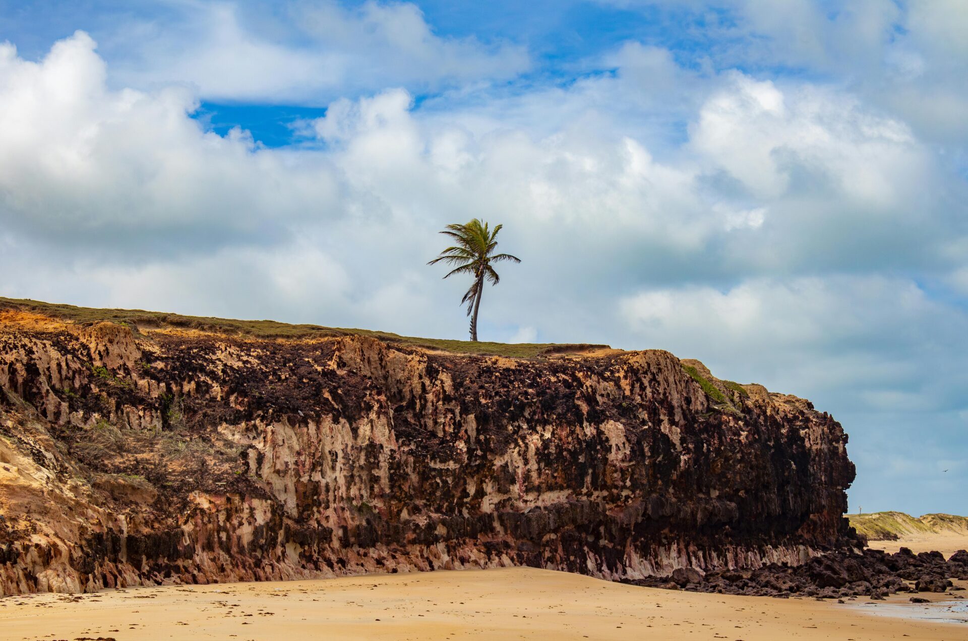 Praia de Maracajaú, no Rio Grande do Norte - considerada o "Caribe" do estado