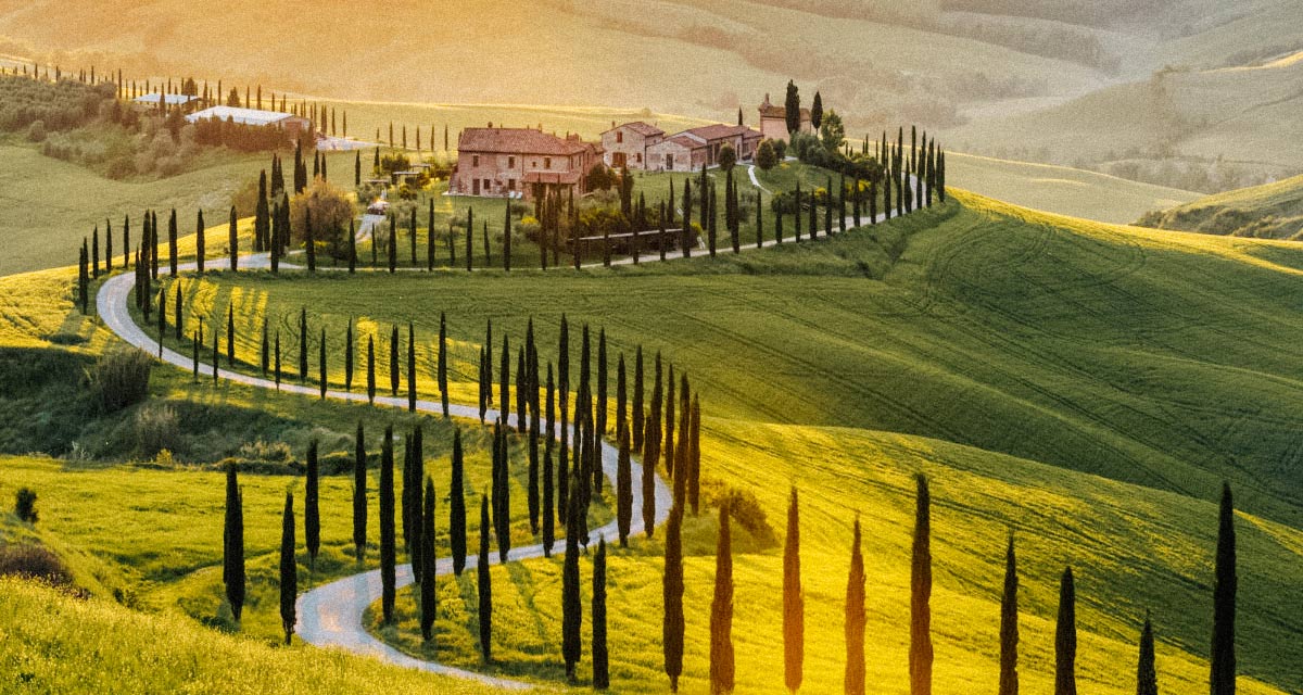 Conheça as vinícolas mais famosas da italia e deguste os melhores vinhos italianos.