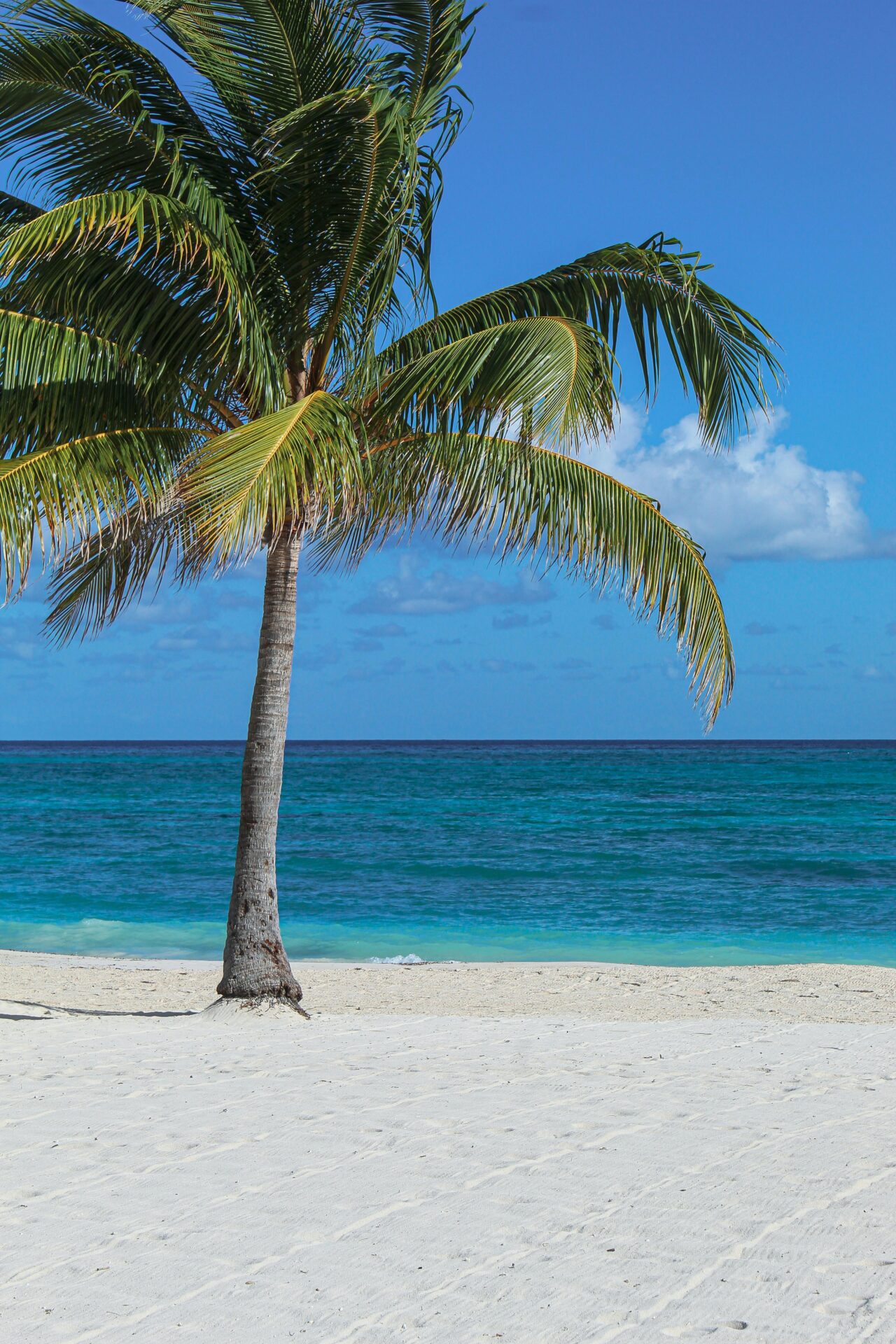 Montego Bay, Jamaica - destinos para viajar na lua de mel