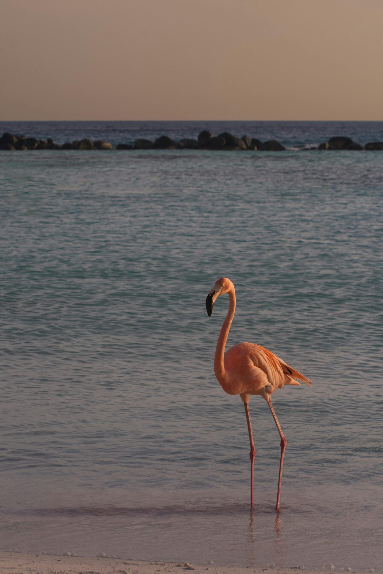 Ilhas ABC - Aruba