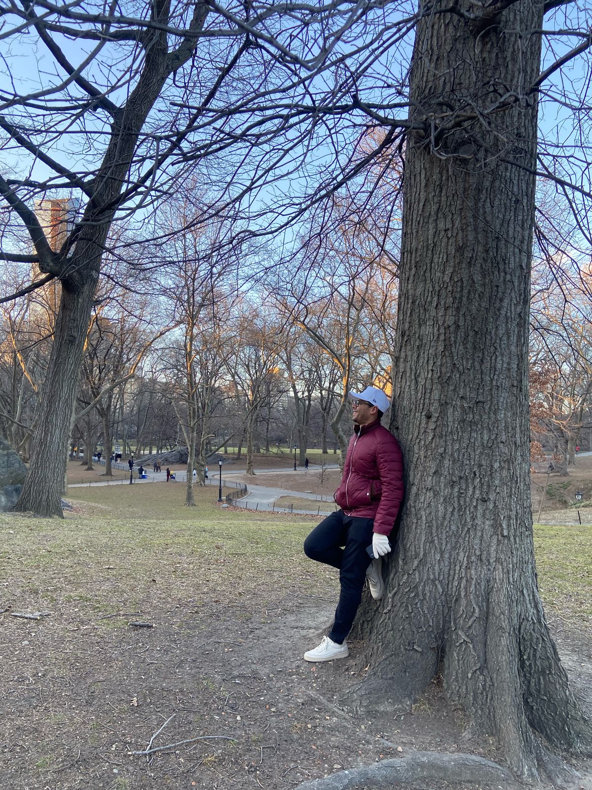Central Park em Nova York - passeios imperdíveis em Nova York