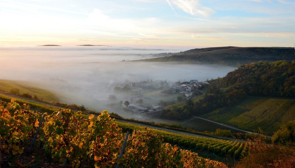 Domaine Henri Bourgeois, França