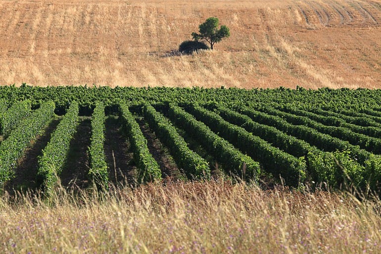 Kir-Yianni, Grécia