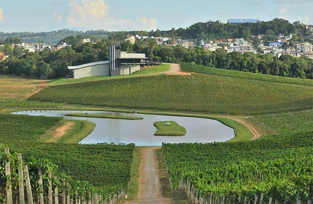 Luiz Argenta, Brasil