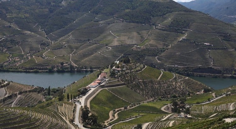 Quinta do Crasto, Portugal