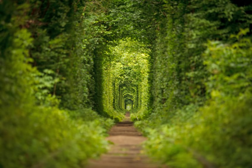 Túnel do Amor, Ucrânia