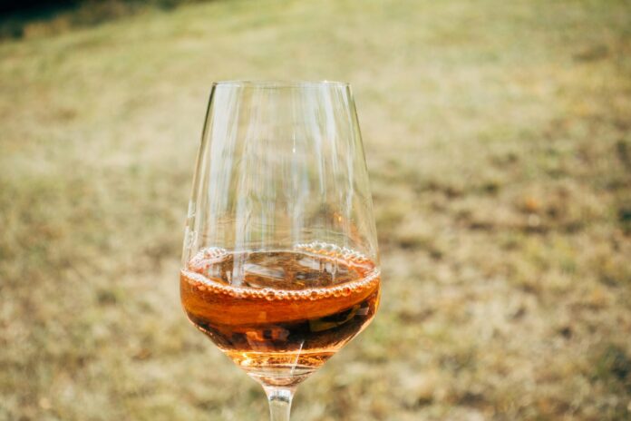 38ª Festa da Uva e 9ª Expo Vinhos de Jundiaí 2023