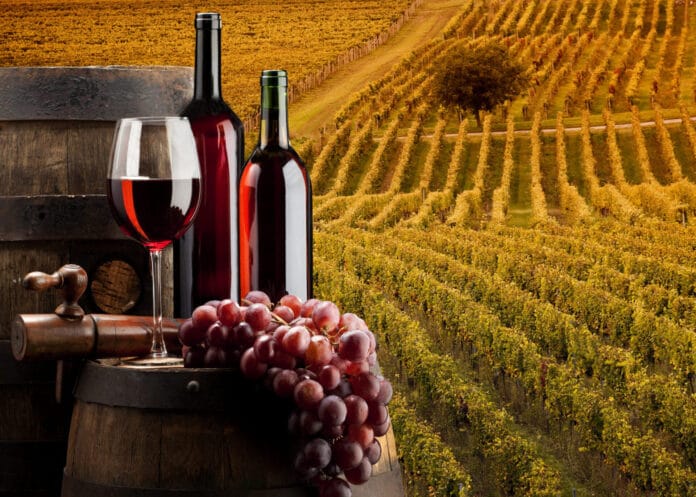 38ª Festa da Uva e 9ª Expo Vinhos de Jundiaí 2023