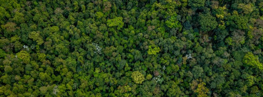 Amazônia, no Amazonas - Ecoturismo no Brasil: 21 destinos obrigatórios