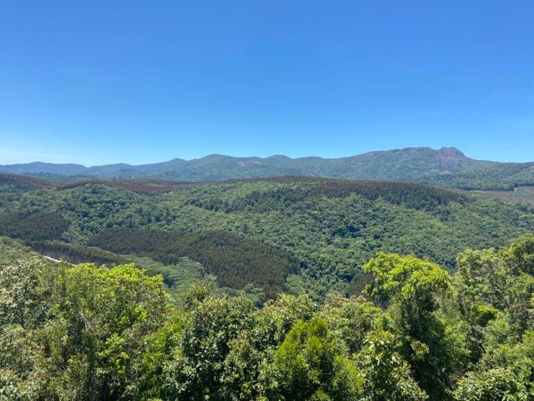 Conhecemos Monte Verde, a famosa “Suíça Mineira” brasileira. Um destino charmoso e romântico, com construções que lembram muito a Suíça, um chocolate delicioso, gastronomia impecável e uma cidadezinha que tem o amor no ar. Conhecemos Monte Verde: vem conferir nossa estadia de pertinho