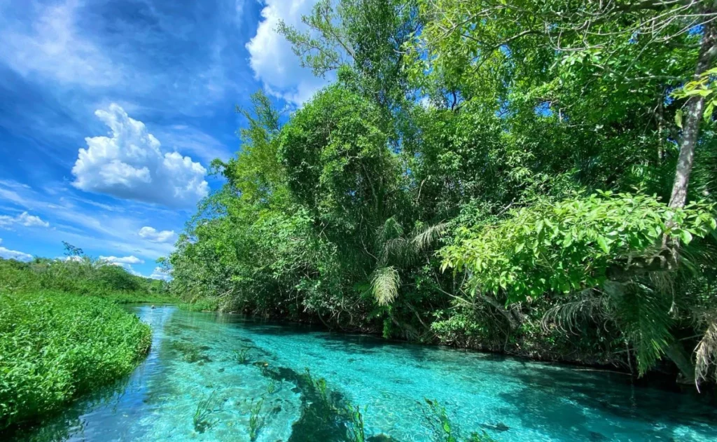 Quando ir em Bonito? Saiba qual a melhor época para conhecer e desfrutar desse destino eco turístico 