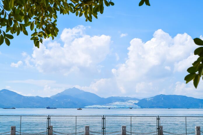 charlottees-shenzhen-4646244_1920