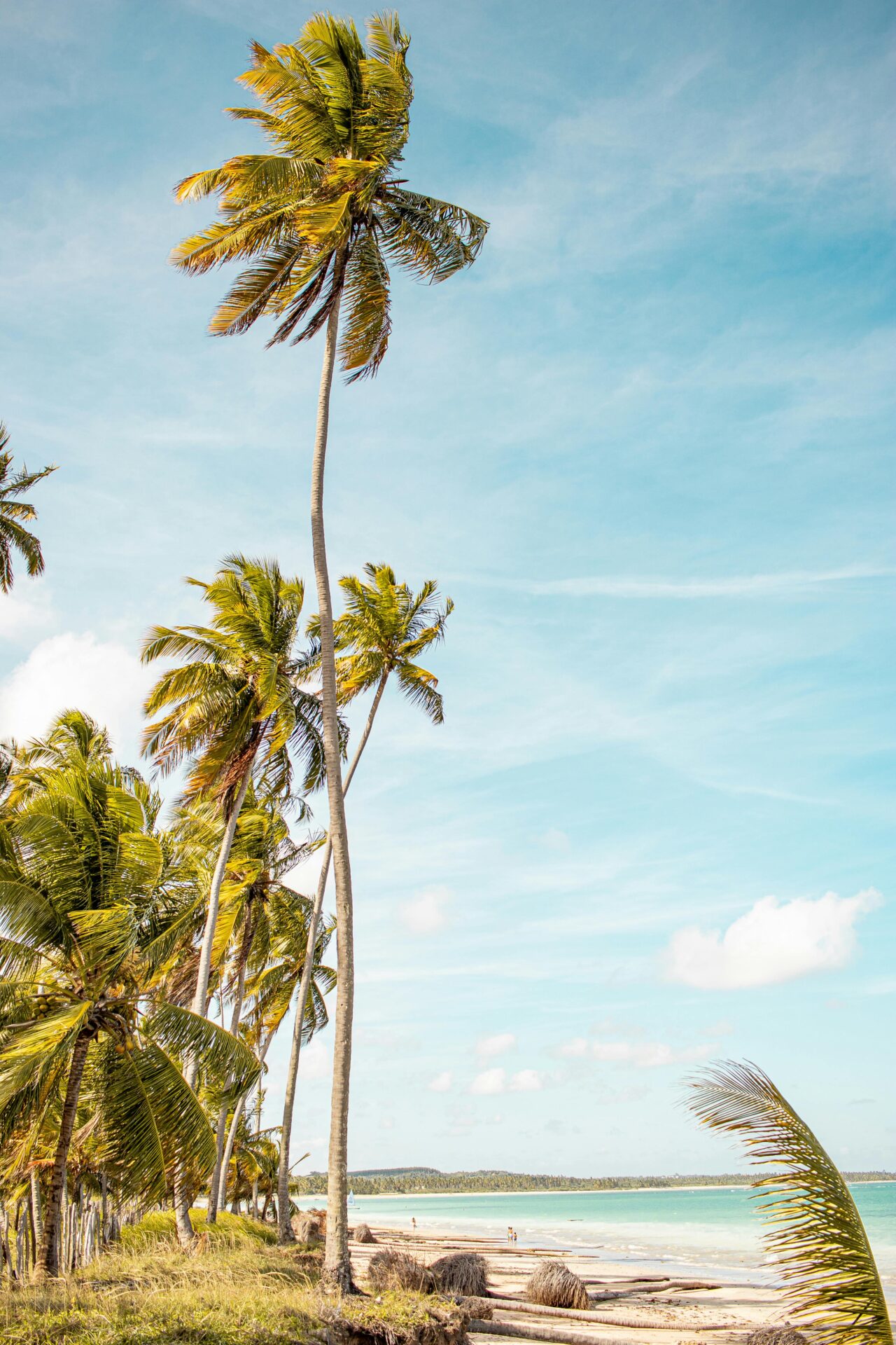 São Miguel dos Milagres, Alagoas