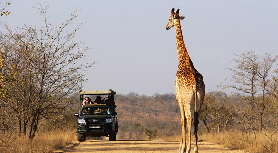 Parque Nacional Kruger, na África do Sul - as 36 atrações turísticas mais icônicas de cada país