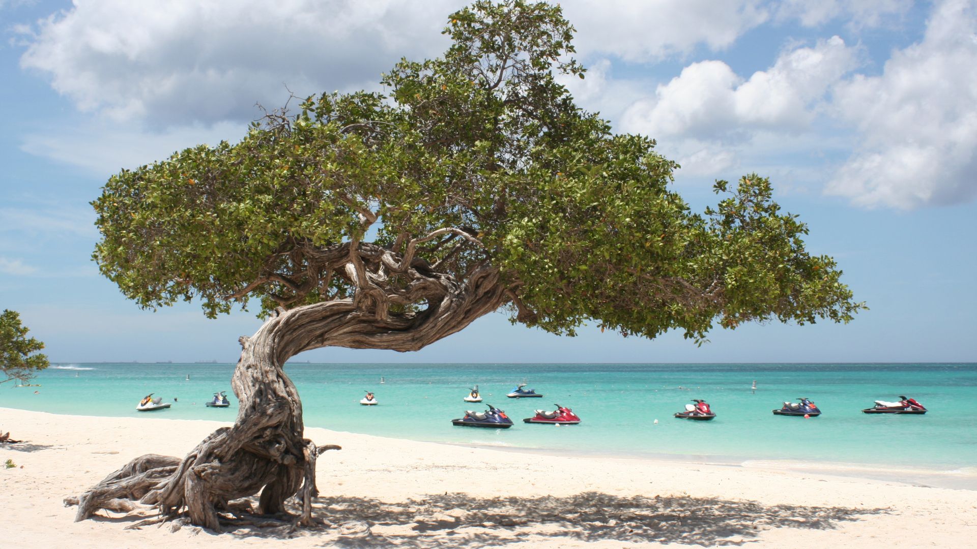 Guia de Aruba