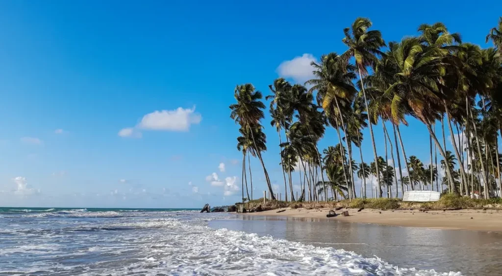 Praia dos Carneiros, Porto de Galinhas 