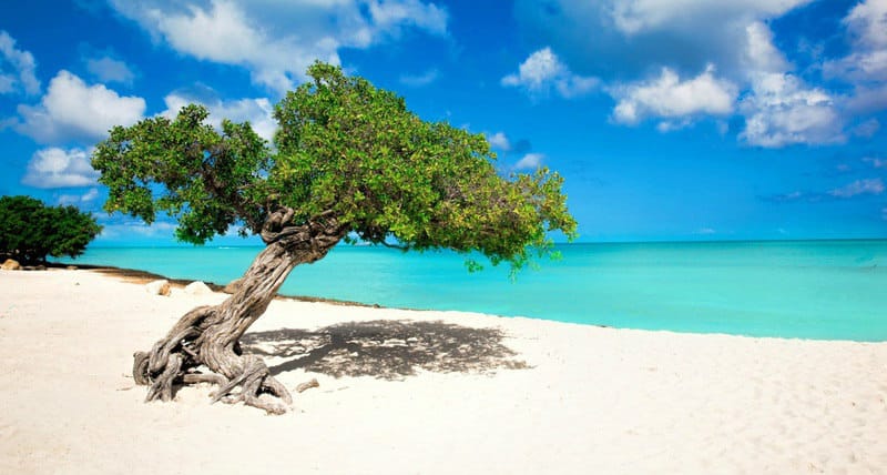 Eagle Beach, Aruba