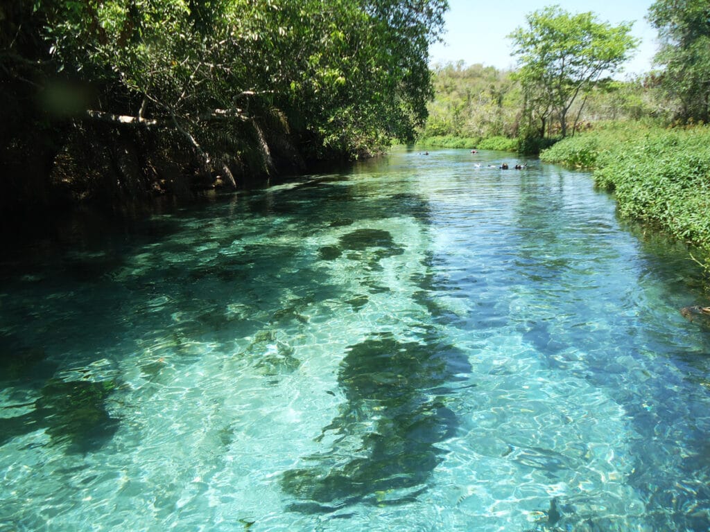 O que fazer em Bonito: confira mais de 10 atrações incríveis. Na foto, o famoso Rio Sucuri, em Bonito, Mato Grosso do Sul