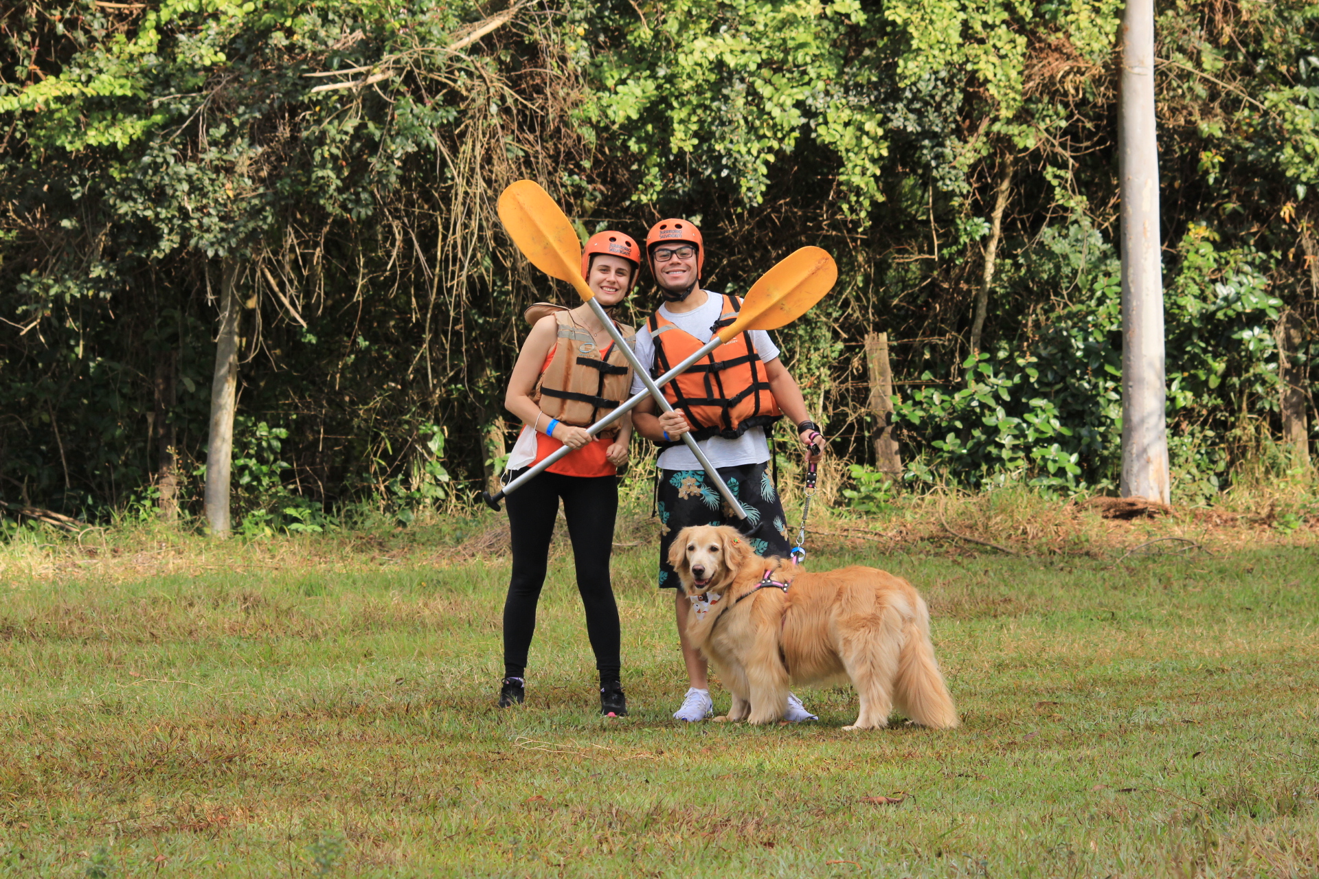 23 melhores hotéis pet friendly no Brasil para viajar com seu pet