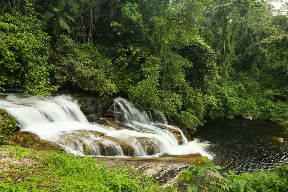 Dicas de Paraty - a região de Paraty é maravilhosa e conta com cachoeiras deslumbrantes. (dicas de Paraty)