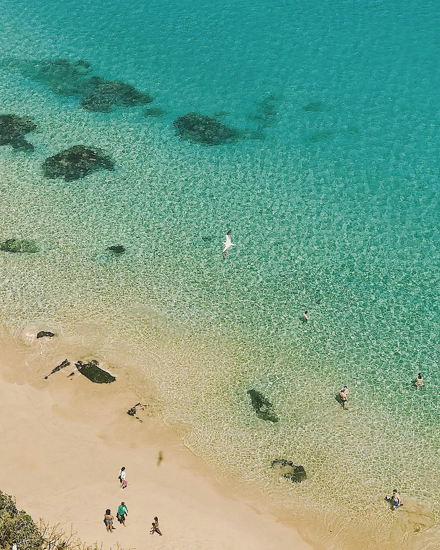 Fernando de Noronha, Pernambuco, um dos melhores lugares para conhecer no Brasil.
