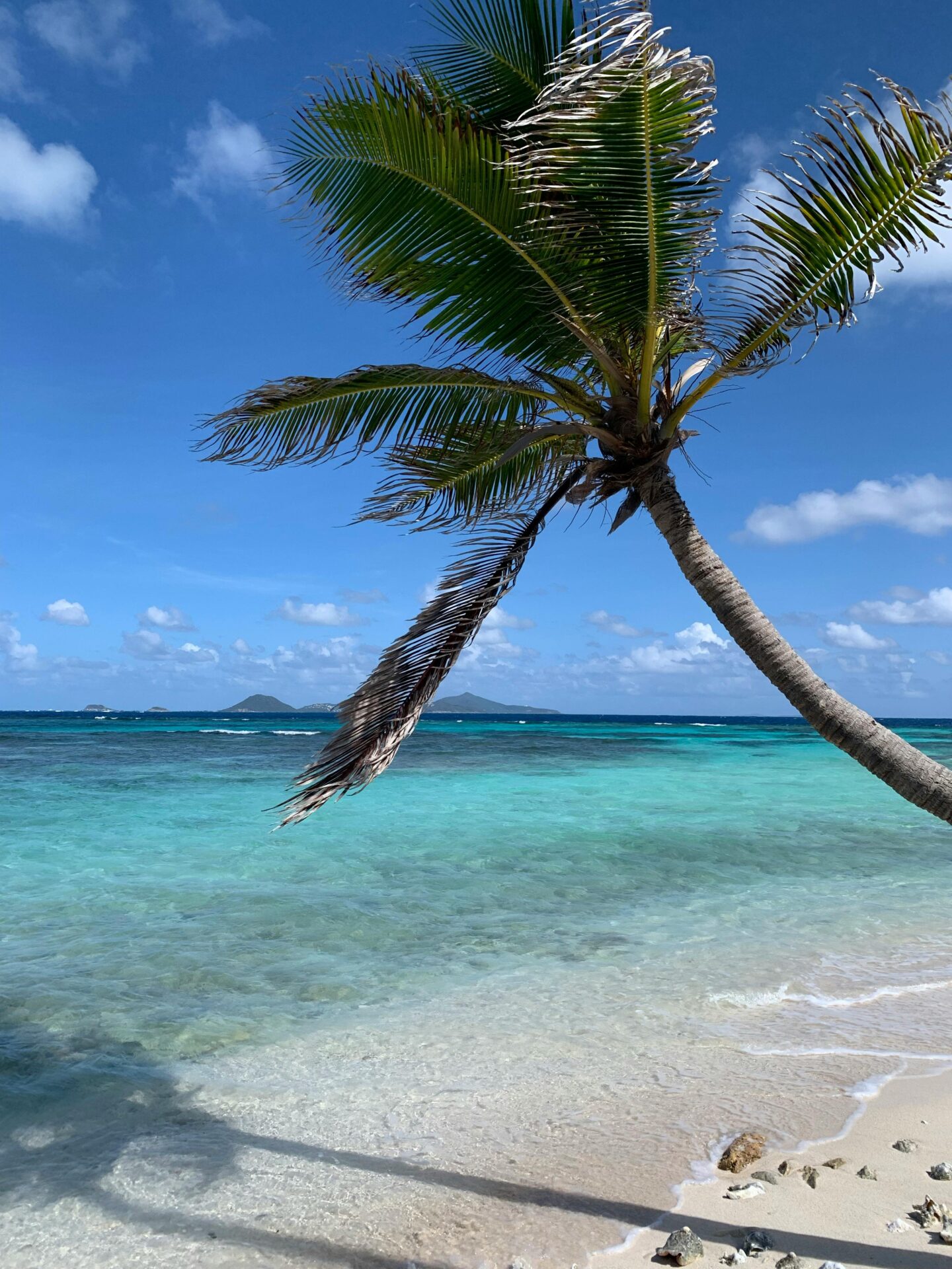 Ilhas Fiji: Um Refúgio Tropical para Casais Apaixonados - melhores destinos para lua de mel
