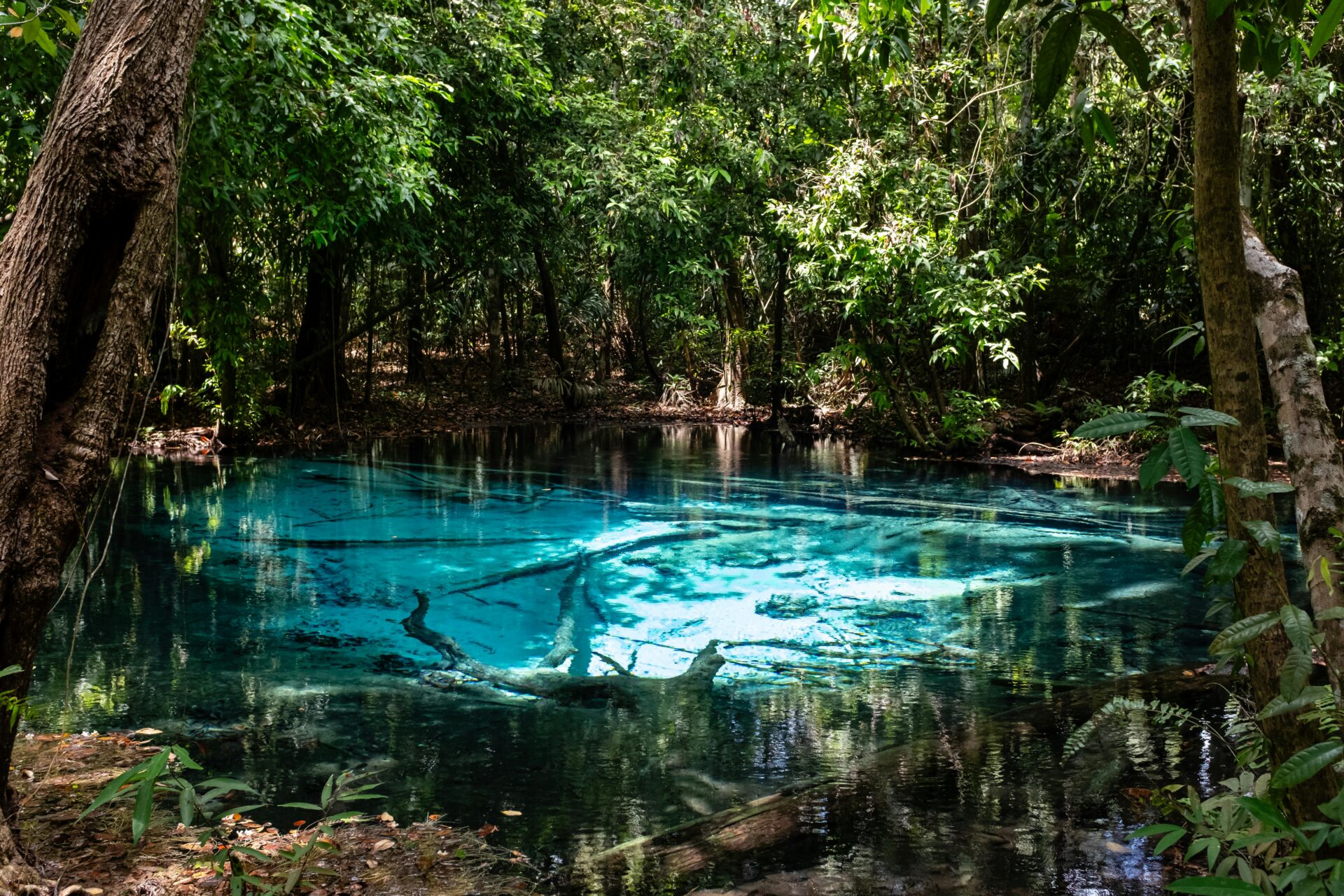 Jalapão, Tocantins, um dos melhores destinos no Brasil para o ecoturismo.