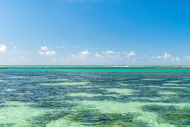 Maragogi Alagoas