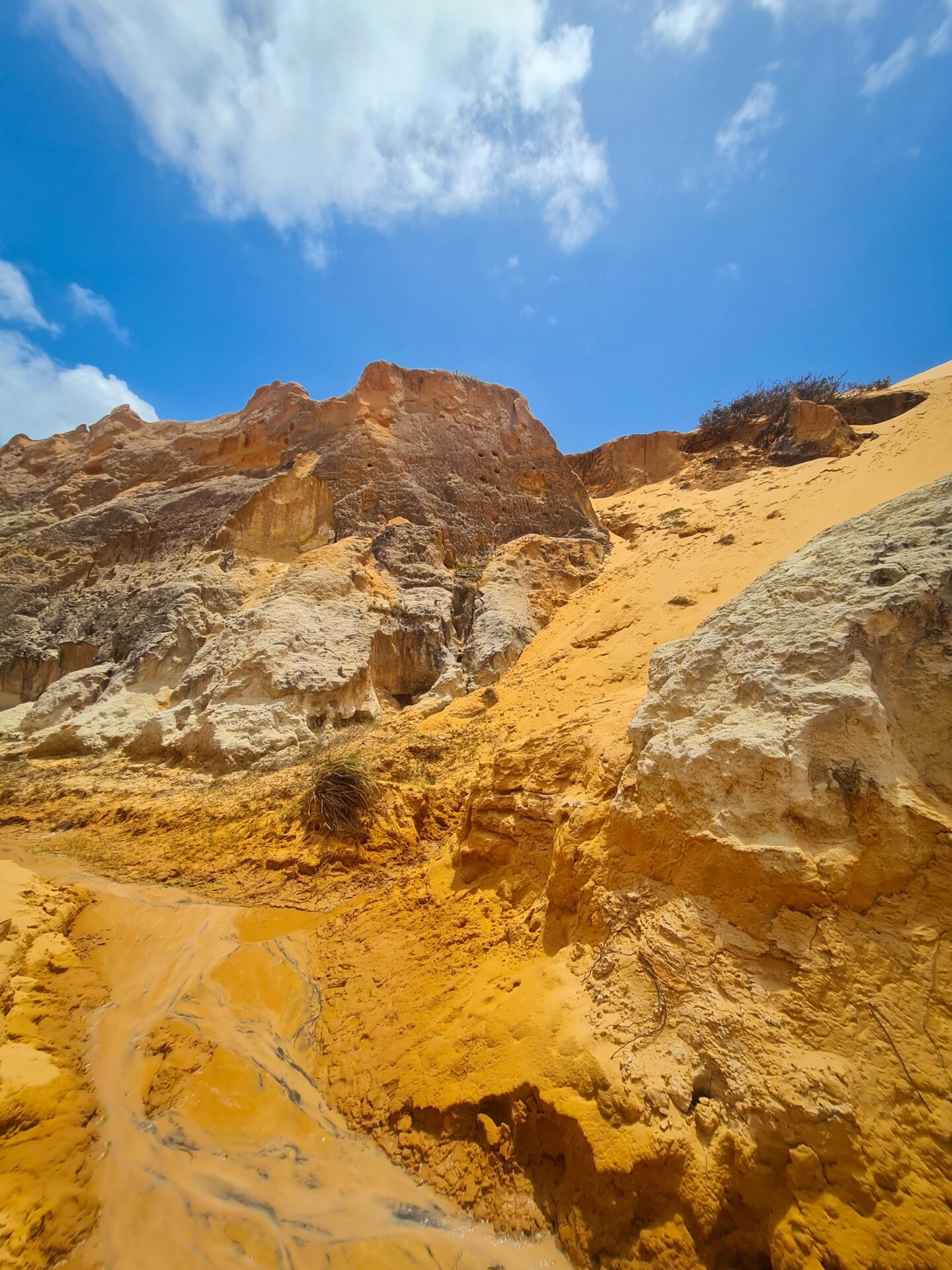 Praia de Morro Branco, Ceará - As Melhores Praias do Nordeste